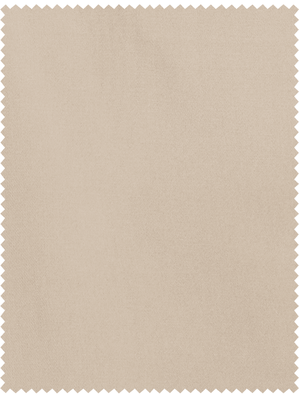 Alternate Image of Cotton Stretch Twill Pleated Shorts-1#model_pleated front