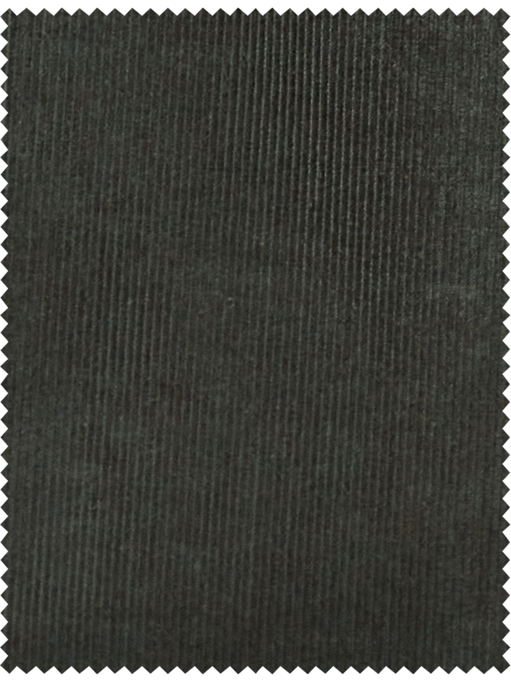 Alternate Image of Corduroy Pleated Pants-2#model_pleated front