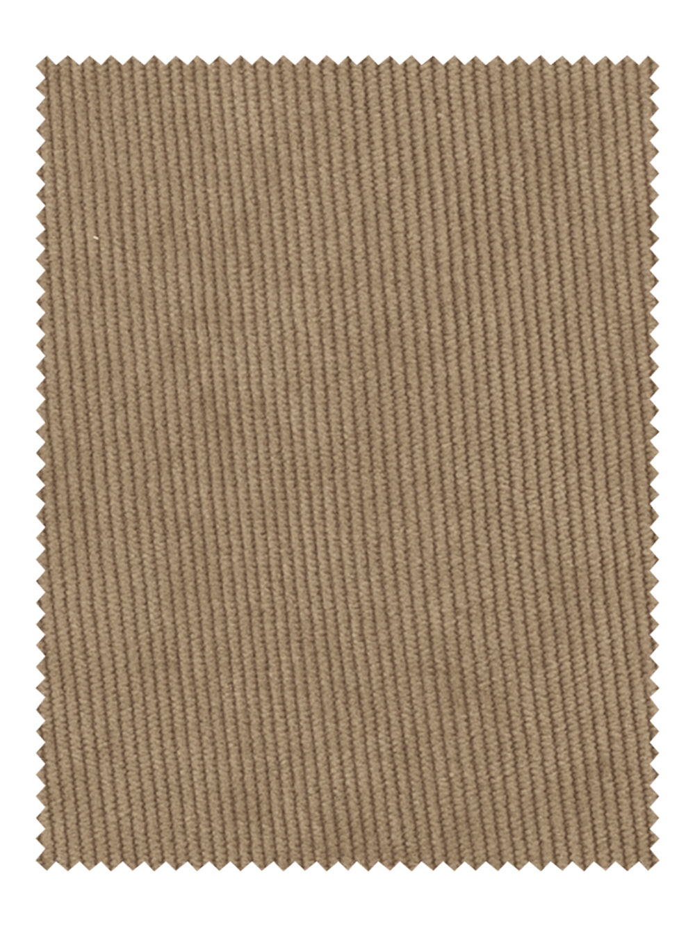 Alternate Image of Corduroy Flat Front Pants-2#model_flat front